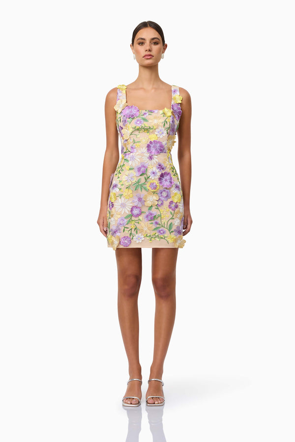 Brunette model wearing Lina Embroidered Mini Dress in Floral front shot